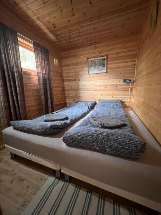 Cozy And Spacious Cabin Svensby エクステリア 写真